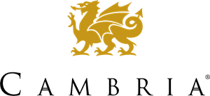 A green background with a yellow dragon and the letters mbr.